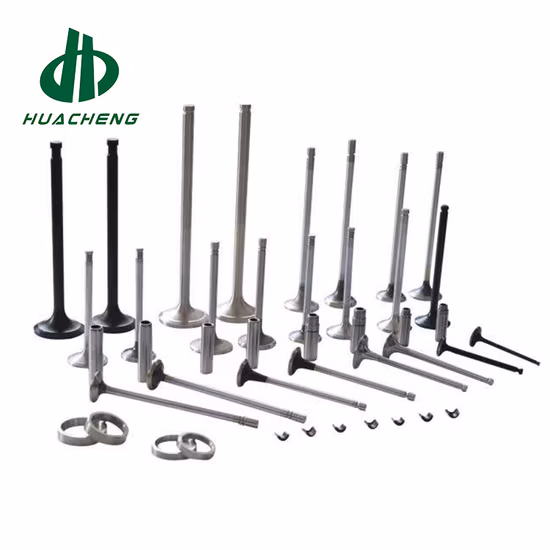 Generatorsatzteile Einlass-Auslassventil-Motor für Cummins K19
